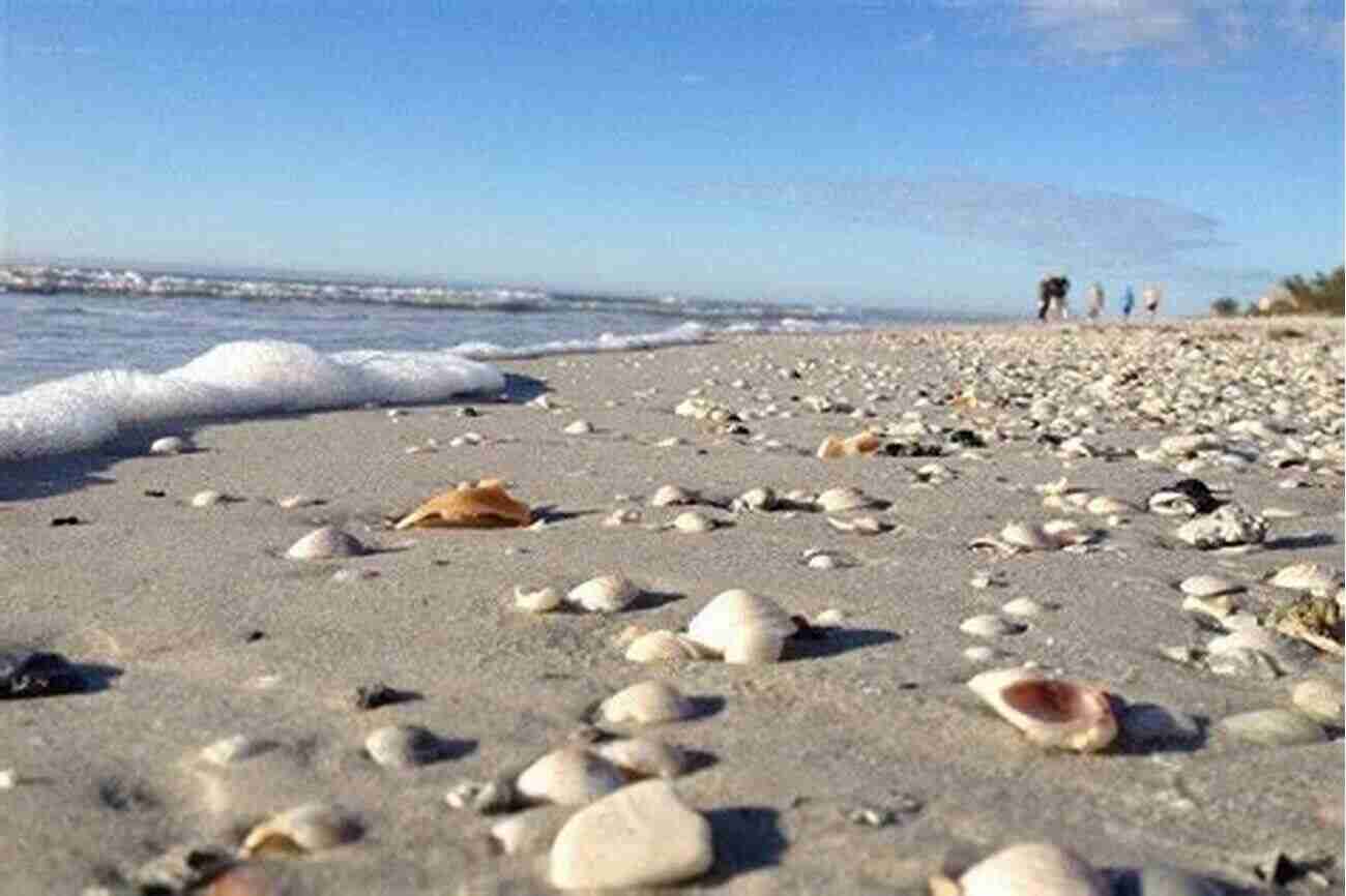 Indian Rocks Beach A Paradise On Earth Indian Rocks Beach (Images Of America)