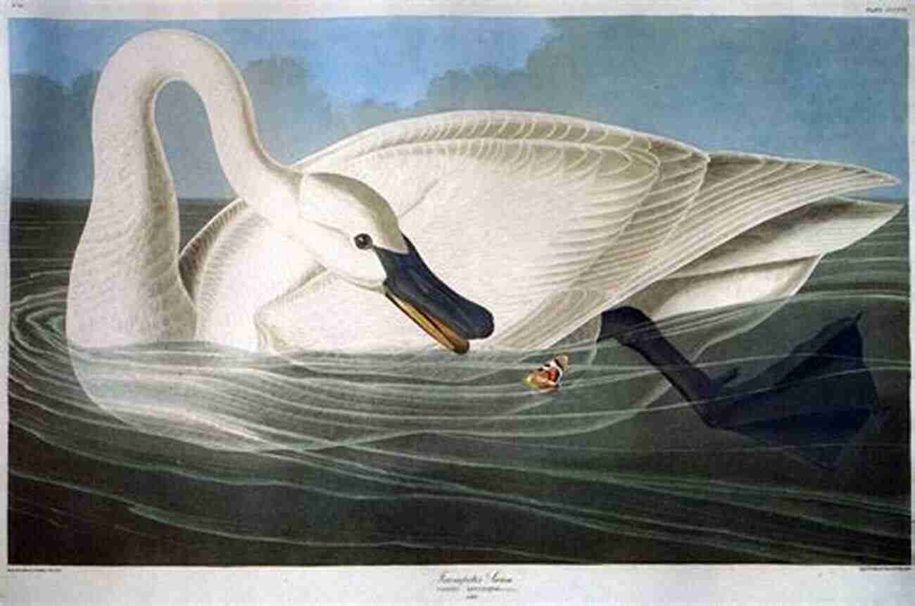 John James Audubon Experimenting With Organic Compounds EXPERIMENTAL ORGANIC CHEMISTRY John James Audubon