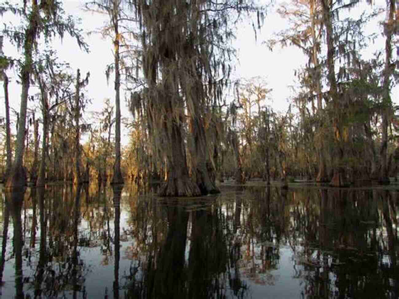 Lost In The Wilds Of Southern Louisiana Exploring The Untamed Beauty Of The Bayou Sister Of Sorrows: Lost In The Wilds Of Southern Louisiana