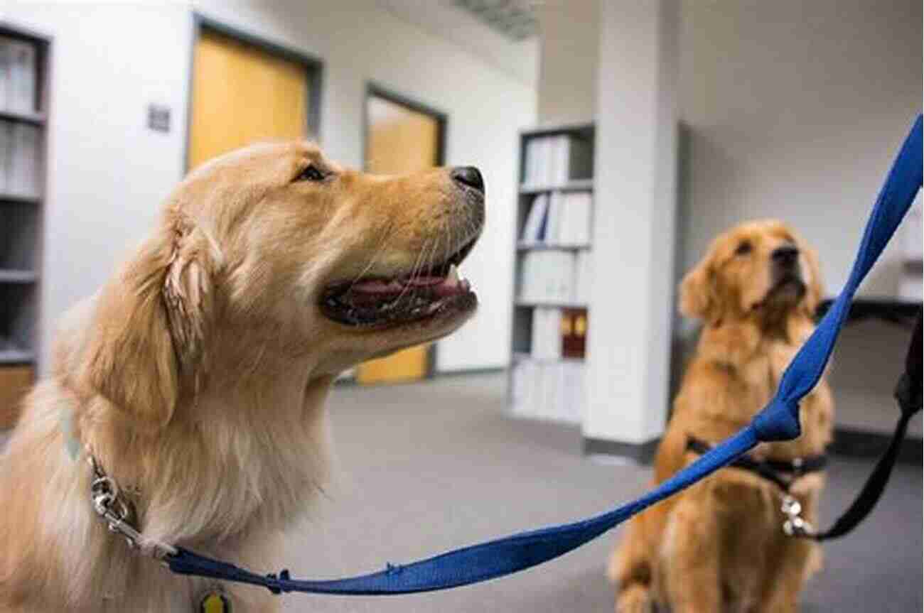 Loyal Dog Providing Comfort And Love During Difficult Times Living With Grace: A Story Of Love And Healing Leaving Paw Prints On The Heart