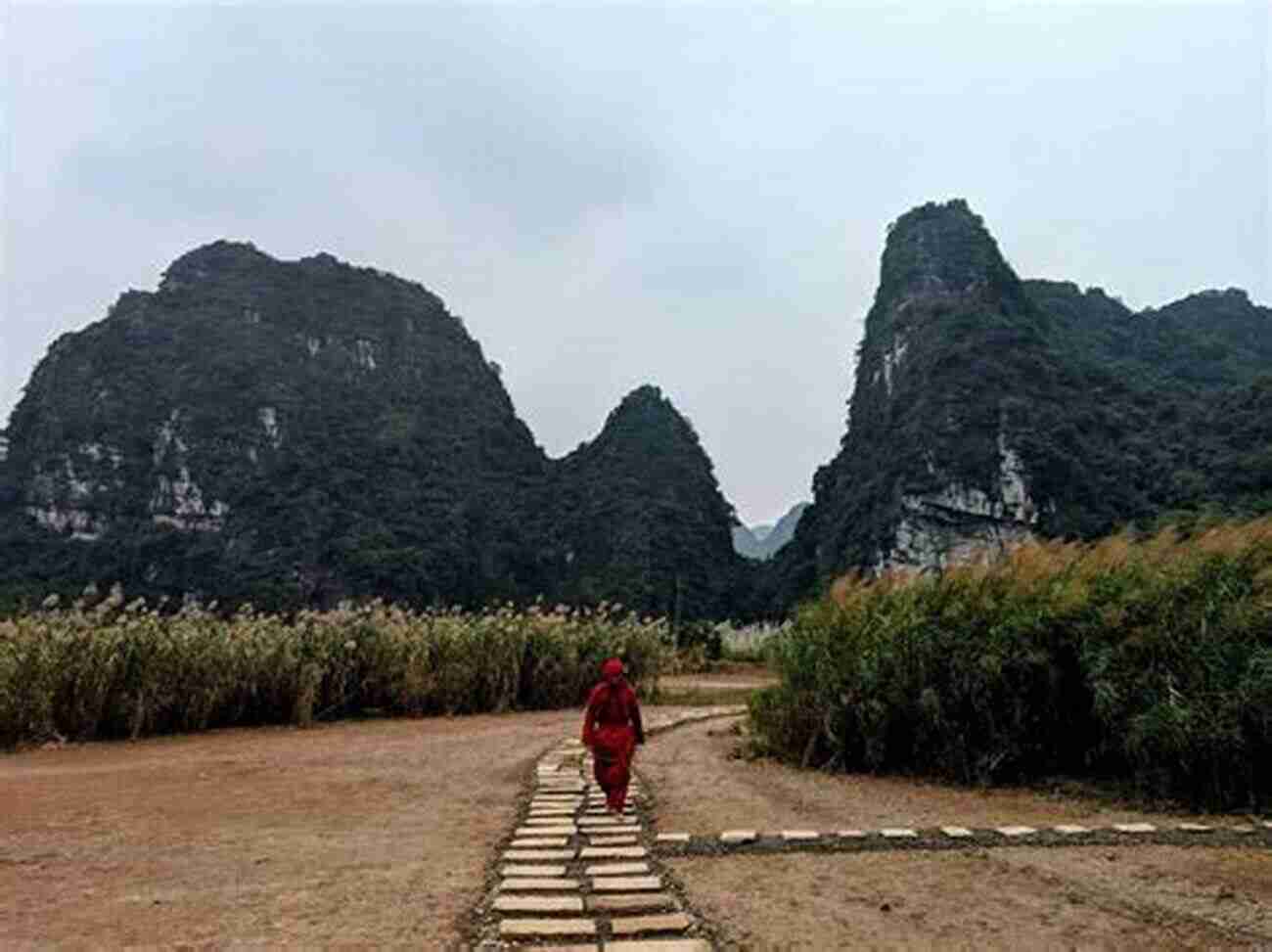 Lush Greenery And Limestone Cliffs In Ninh Binh EXPLORE VIETNAM: From Hanoi To Ninh Binh