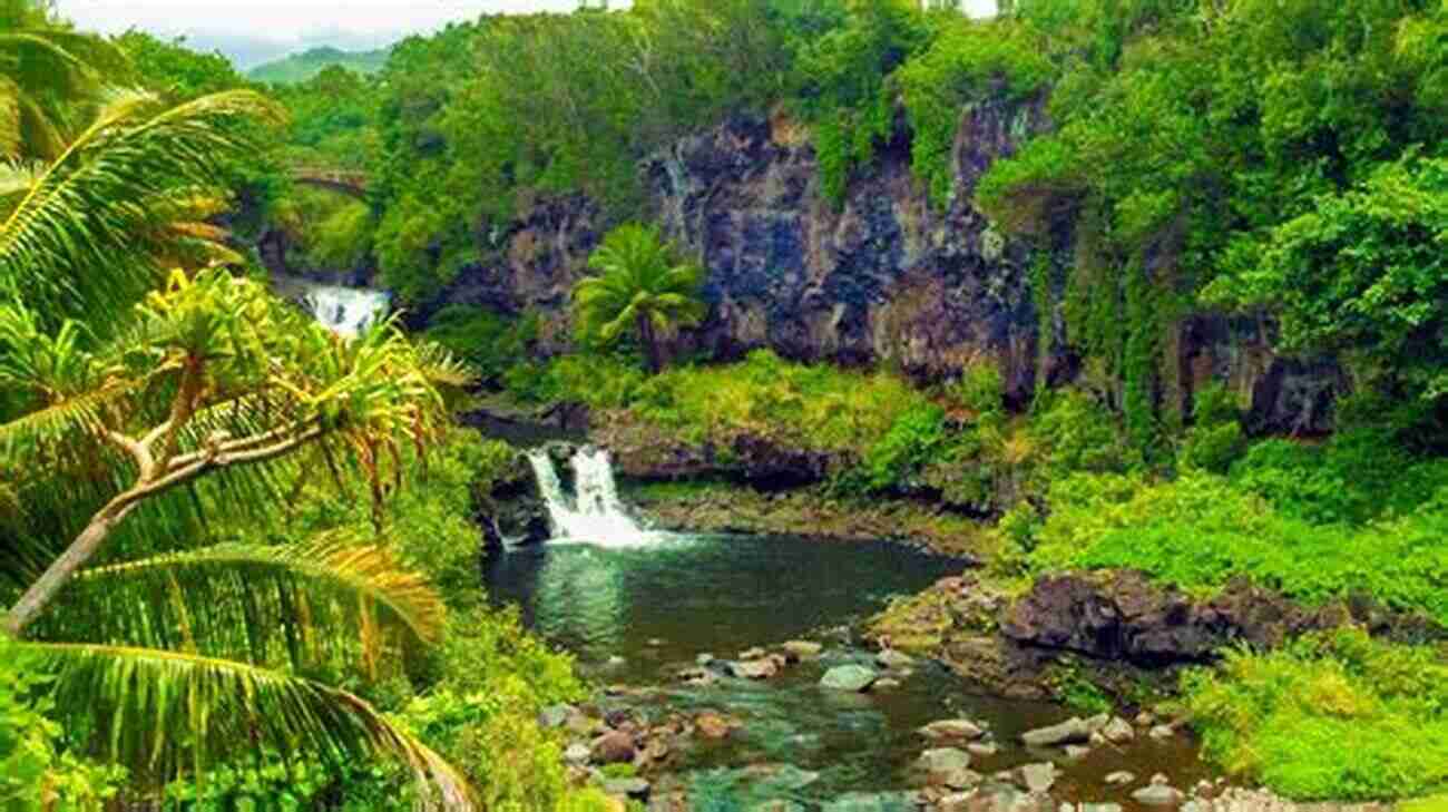 Maui Sacred Forest Lost Maui Places Of Power Hawaii Travel EXPLORING LOST MAUI PLACES OF POWER HISTORY MYSTERY AND HEALING (Hawaii Travel 2)