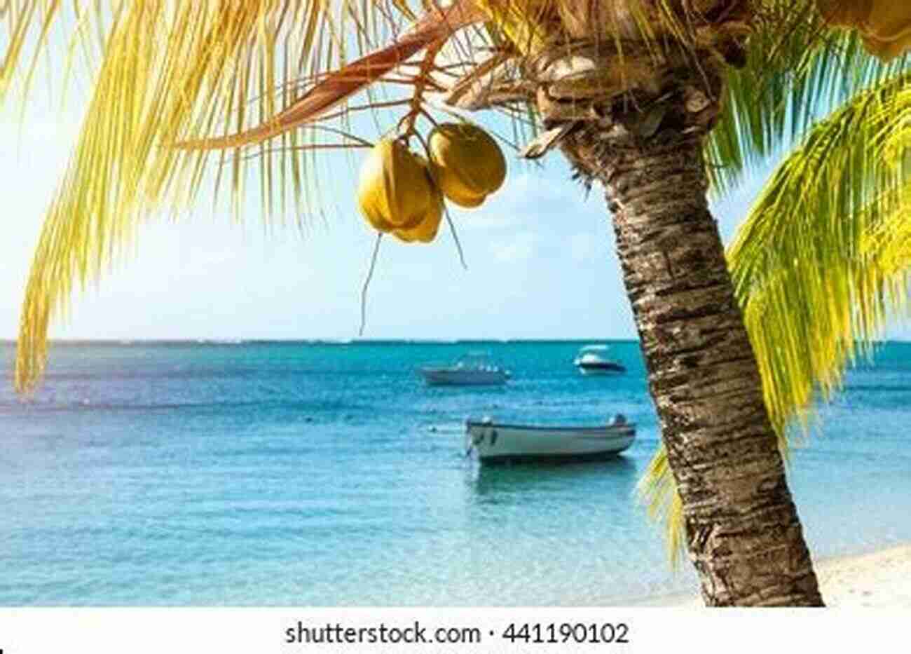 Mauritius North Village A Picturesque Fishing Village With Colorful Boats And Palm Trees Mauritius North (Photo 11) Wolfgang Daunicht