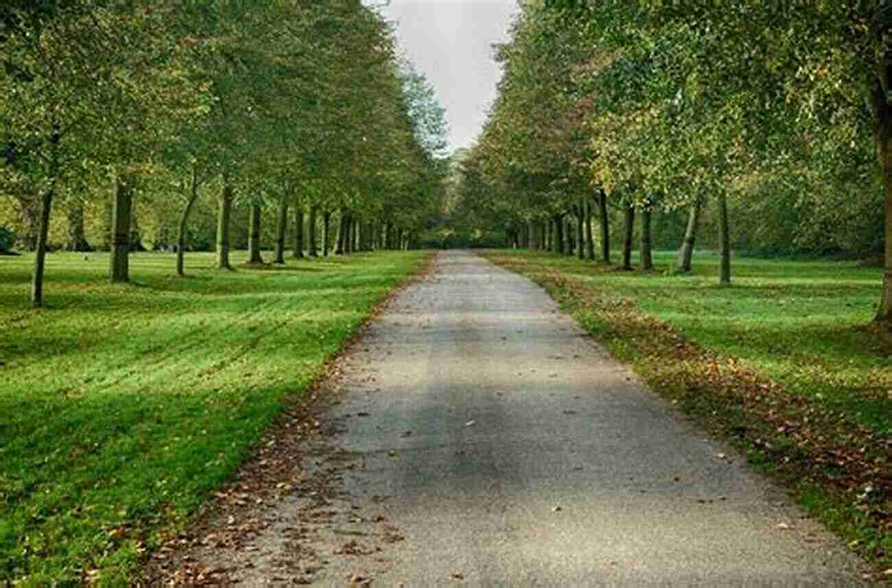 Modesto's Nature, Where Beauty Meets Tranquility Modesto (Images Of America) Carl P Baggese