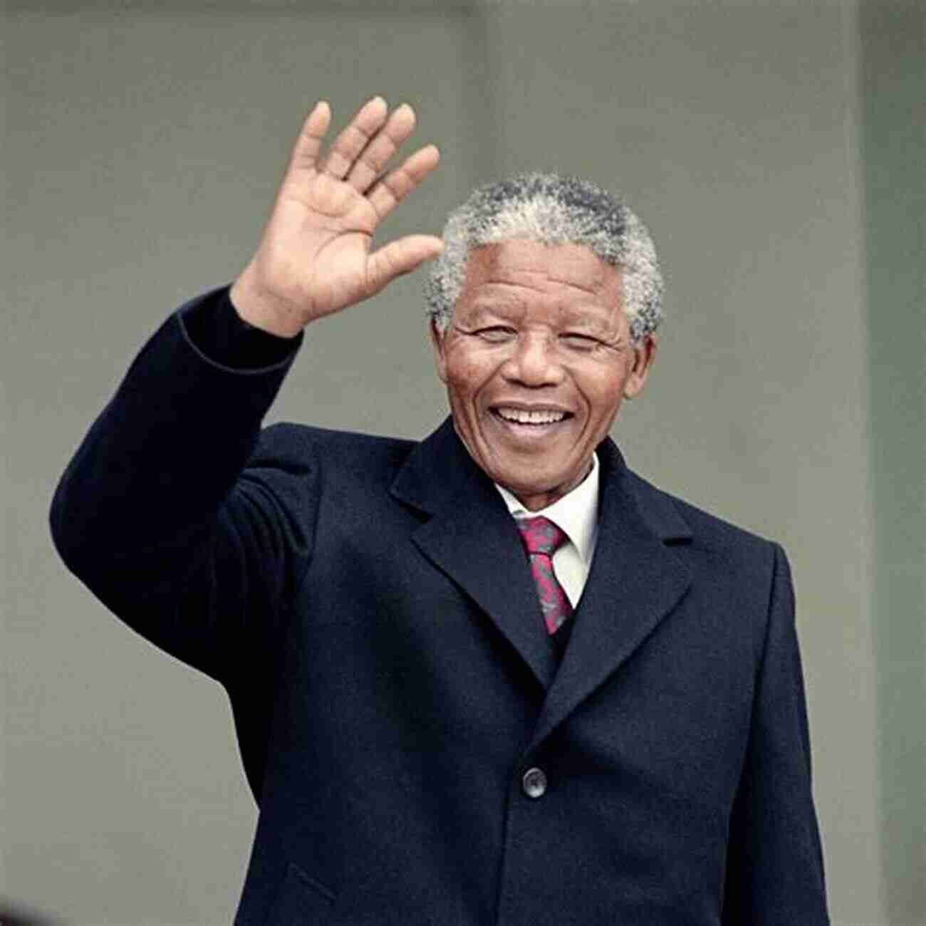 Nelson Mandela, A Symbol Of Courage And Leadership In South Africa's Fight Against Apartheid Coaches Of Chicago: Inspiring Stories About Leadership And Life