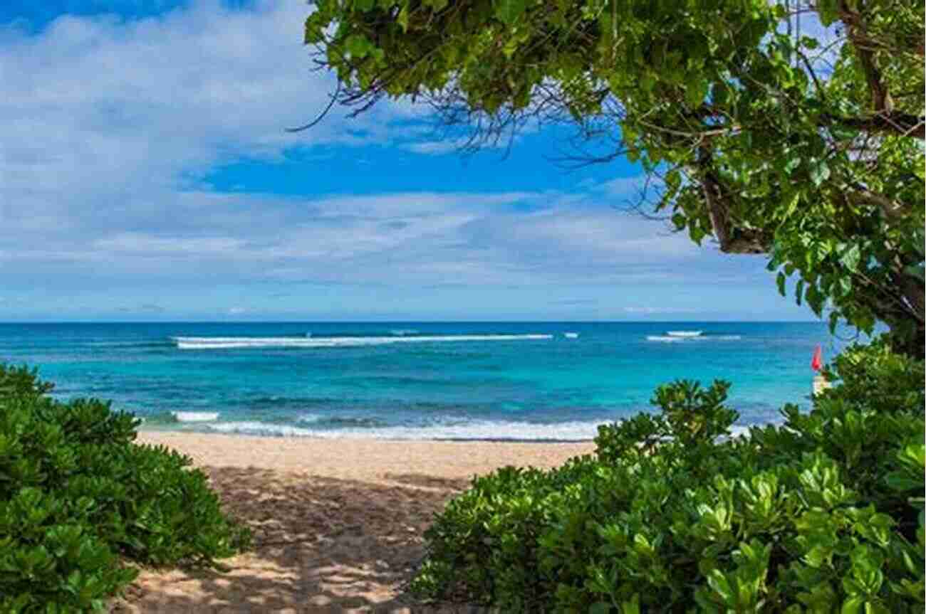 Oahu North Shore Beach A Fabulous One Year Hawaii Adventure: Explored All Six Major Islands (Road Trip 6)