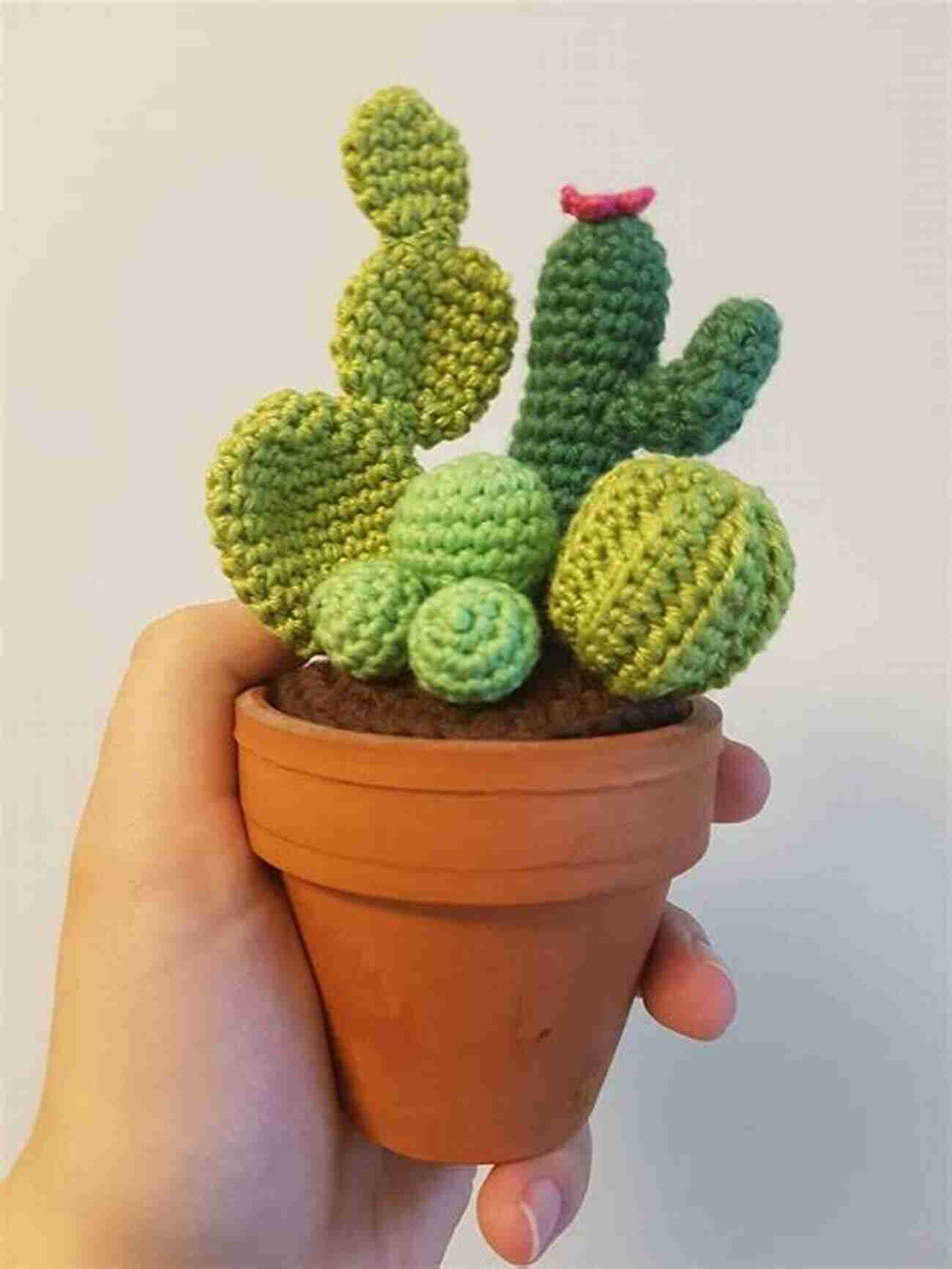 Old Lady Cactus Crochet Pattern Knotmonsters: Cactus Garden Edition: 12 Amigurumi Crochet Patterns