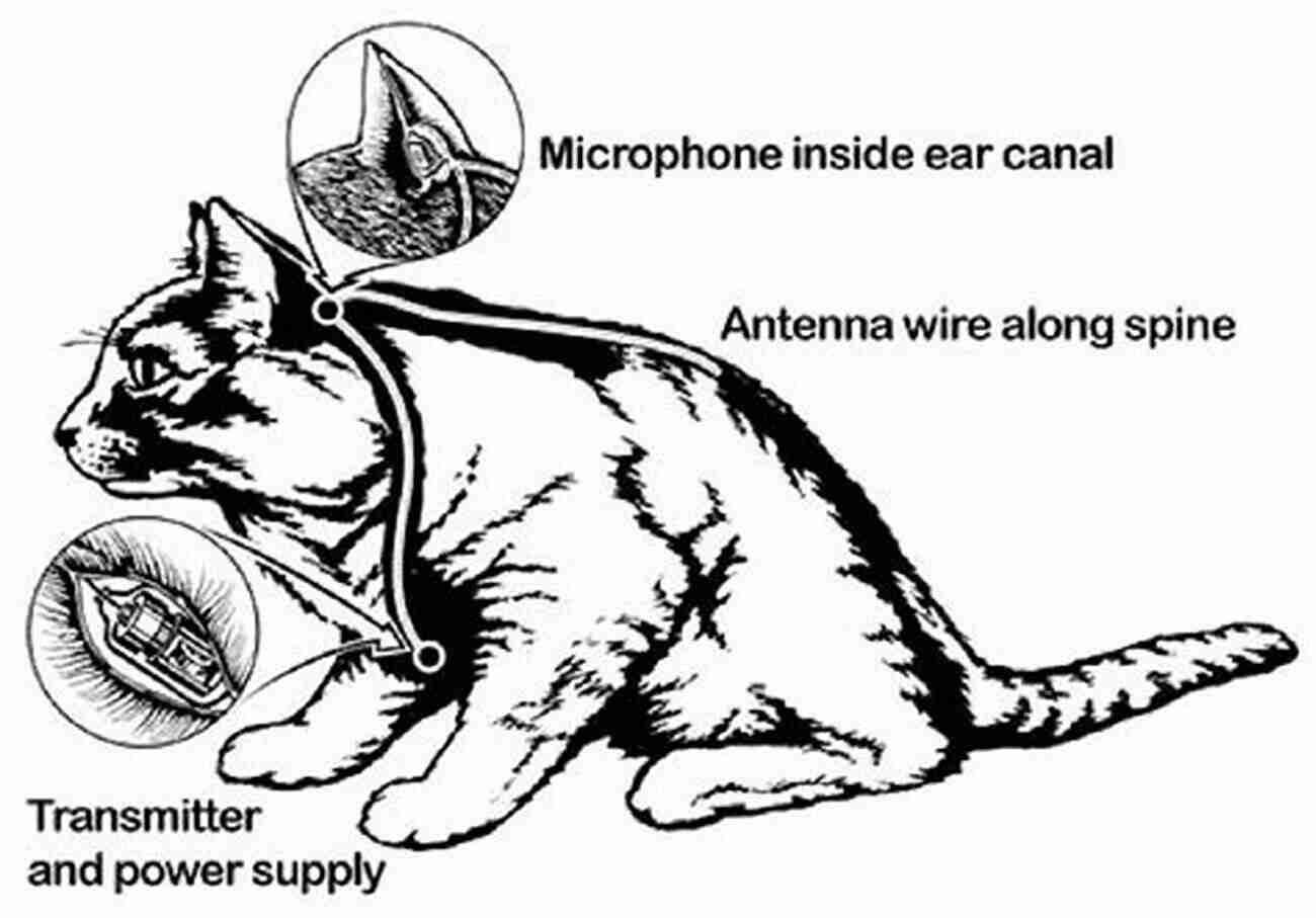 Operation Acoustic Kitty: Espionage, Feline Style The U S Soviet Confrontation In Iran 1945 1962: A Case In The Annals Of The Cold War