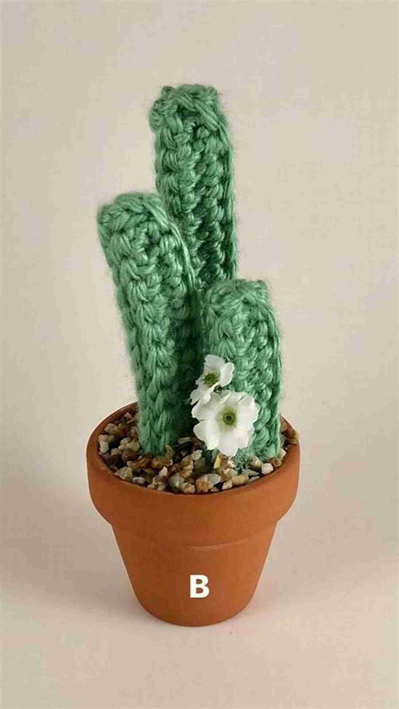 Organ Pipe Cactus Crochet Pattern Knotmonsters: Cactus Garden Edition: 12 Amigurumi Crochet Patterns