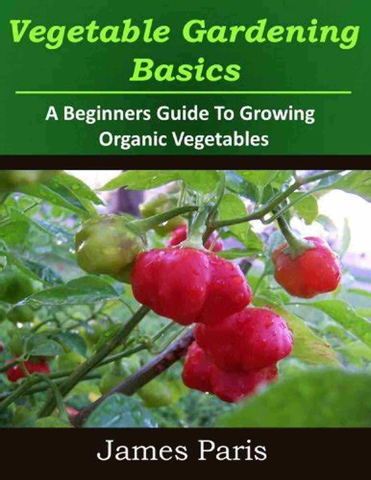 Organic Beans Vegetable Gardening Basics: A Beginners Guide To Growing Organic Vegetables Including Top Ten Easy Veg To Grow