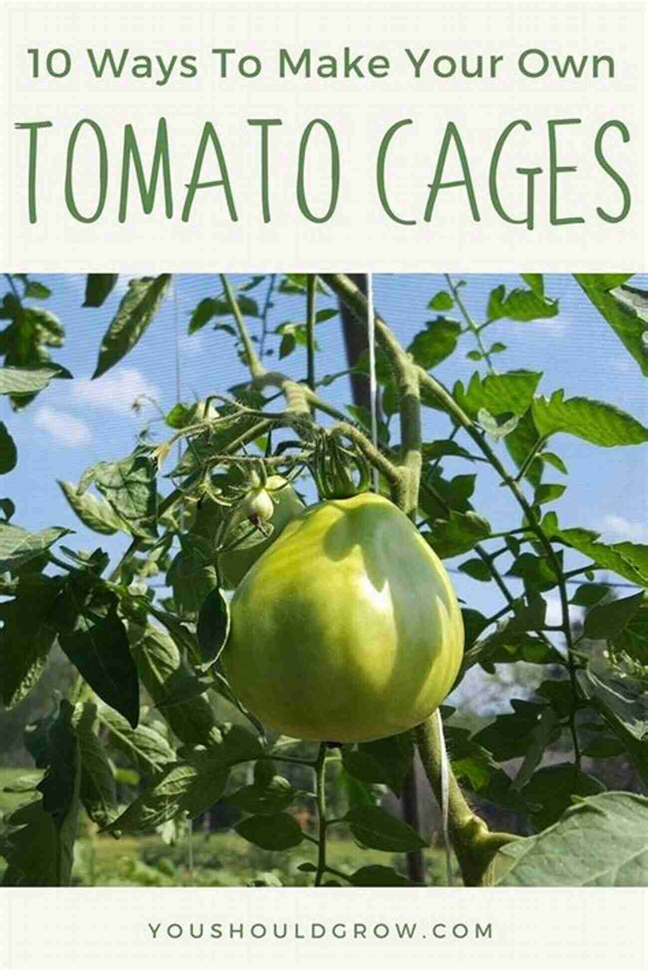 Organic Tomatoes Vegetable Gardening Basics: A Beginners Guide To Growing Organic Vegetables Including Top Ten Easy Veg To Grow