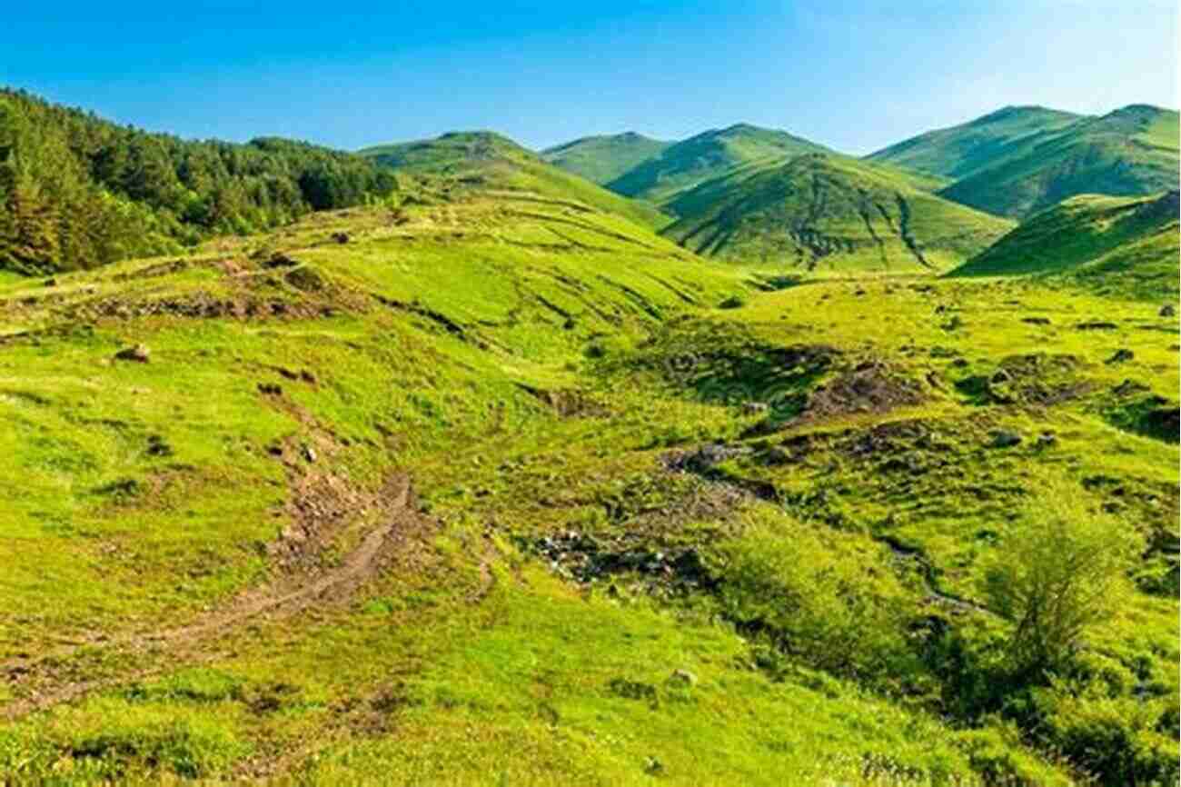 Panoramic View Of The Central Himalayas Mountains Covered In Lush Green Forests Animal Intimacies: Interspecies Relatedness In India S Central Himalayas (Animal Lives)