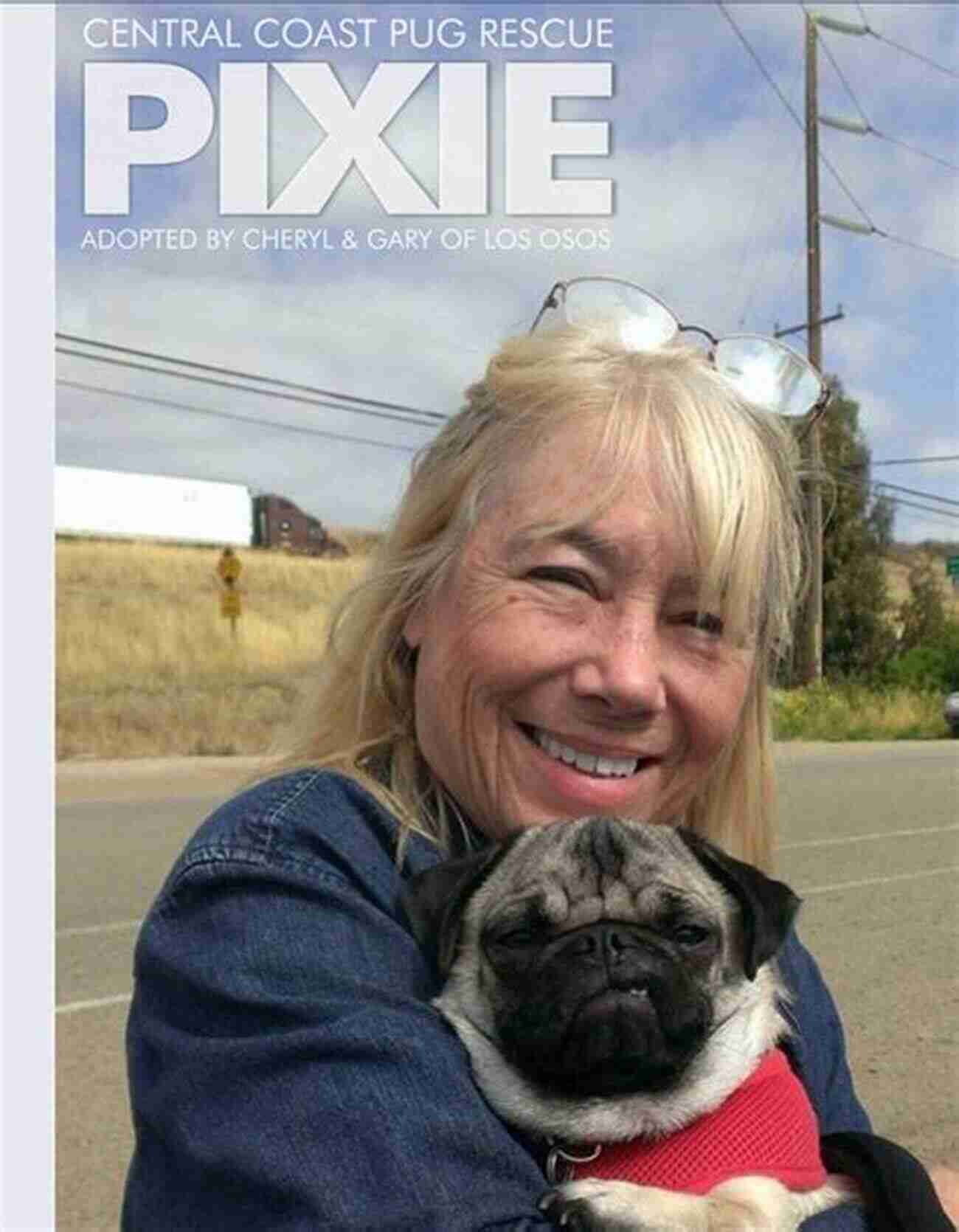 Pixie The Rescued Pug Lost Souls: Found Inspiring Stories About Pugs