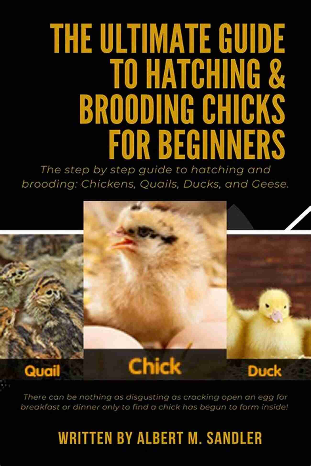 Poultry Farm The Ultimate Guide To Hatching Brooding Chicks For Beginners: The Step By Step Guide To Hatching And Brooding: Chickens Quails Ducks And Geese