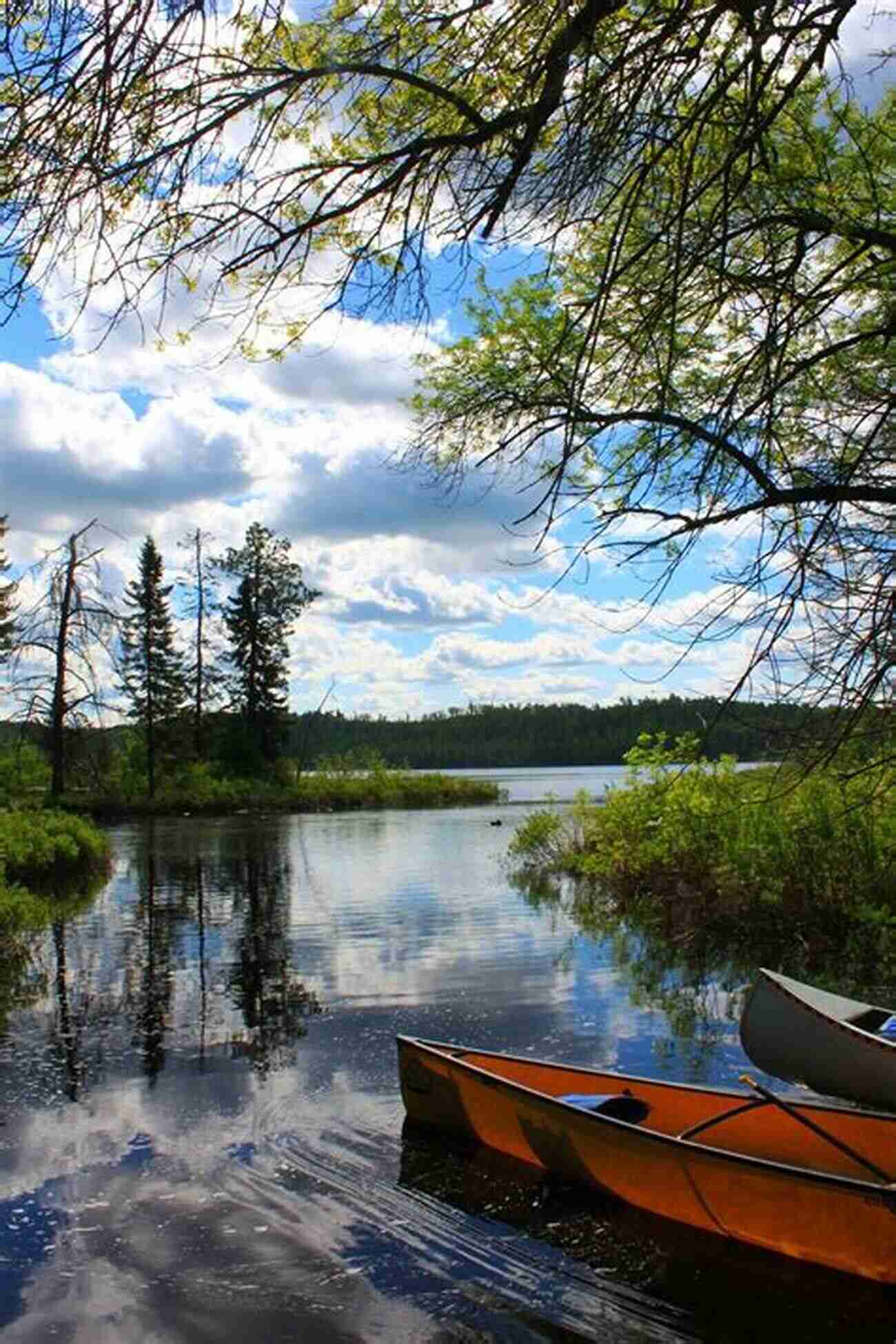 Quetico Provincial Park A Beautiful Lake Surrounded By Lush Greenery A Wilderness Adventure: Canoeing Camping Fishing In Quetico Provincial Park