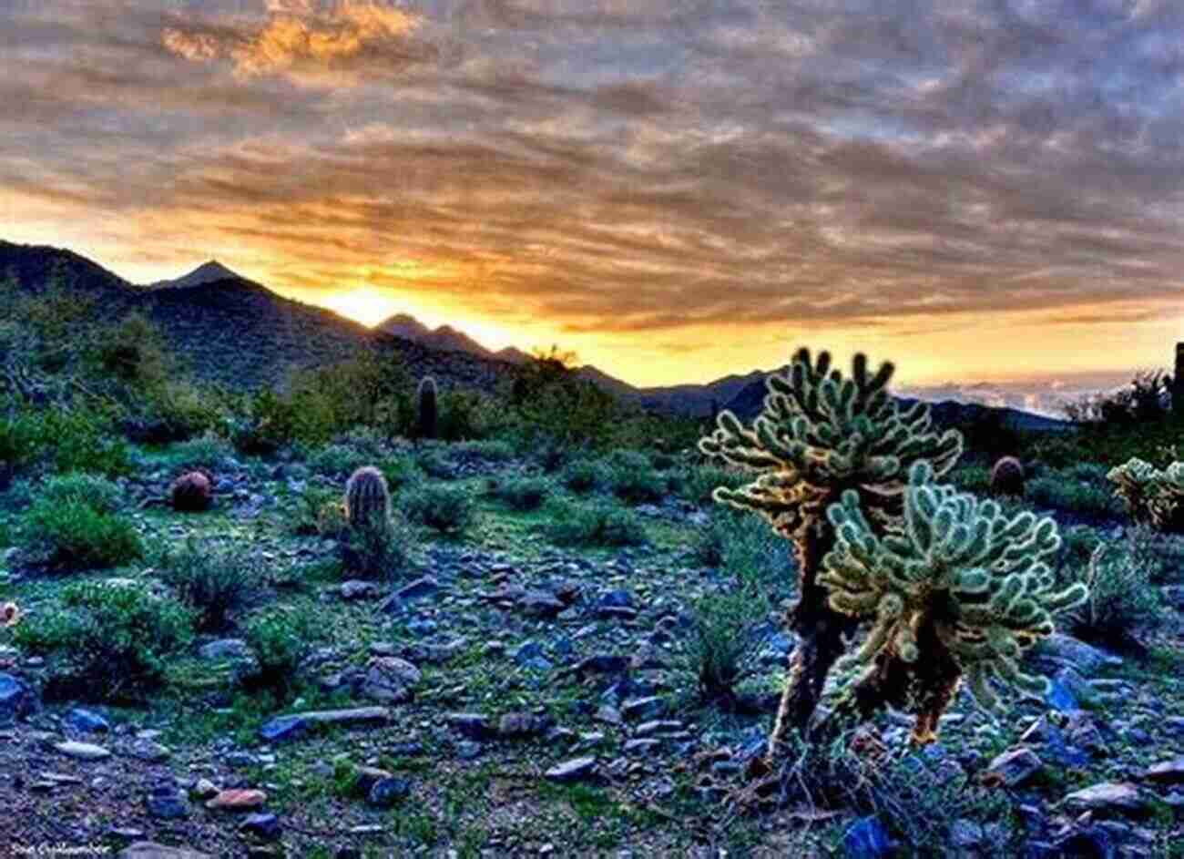 Scottsdale McDowell Sonoran Preserve The People S Preserve: How Scottsdale Created The McDowell Sonoran Preserve