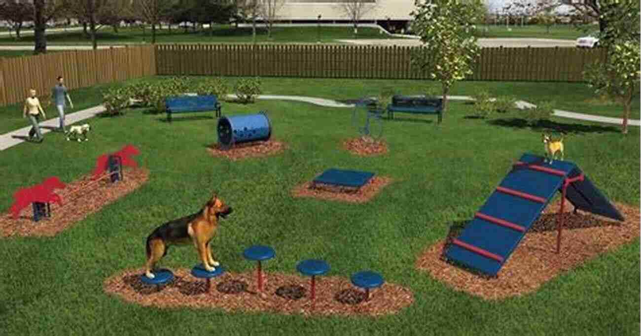 Sewallcrest Dog Park Enclosed Space With Various Agility Equipment And Dogs Having Fun Portland Oregon The 10 Best Fenced Dog Parks