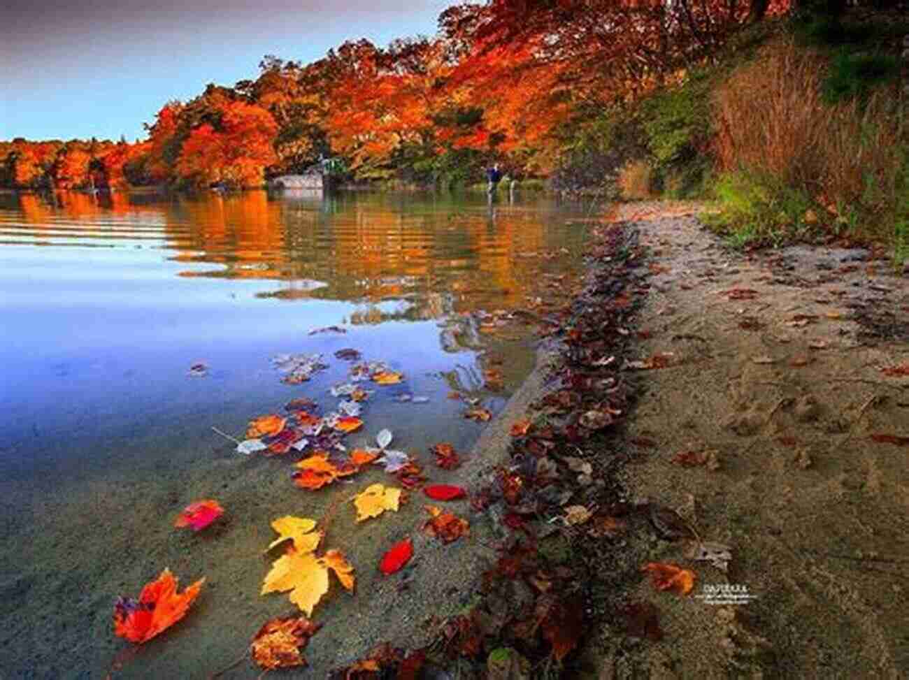 Spectacular Autumn Foliage Surrounding A Peaceful Lake Tavistock And Innerkip Ontario And Area In Colour Photos: Saving Our History One Photo At A Time (Cruising Ontario 237)