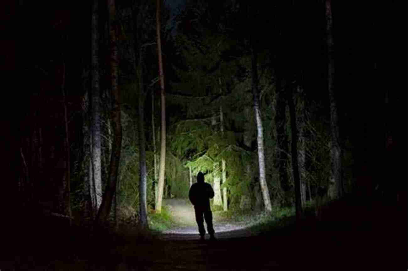 Survival In The Shadows A Person With A Flashlight Navigating Through A Dark Forest Survival In The Shadows: Seven Jews Hidden In Hitler S Berlin