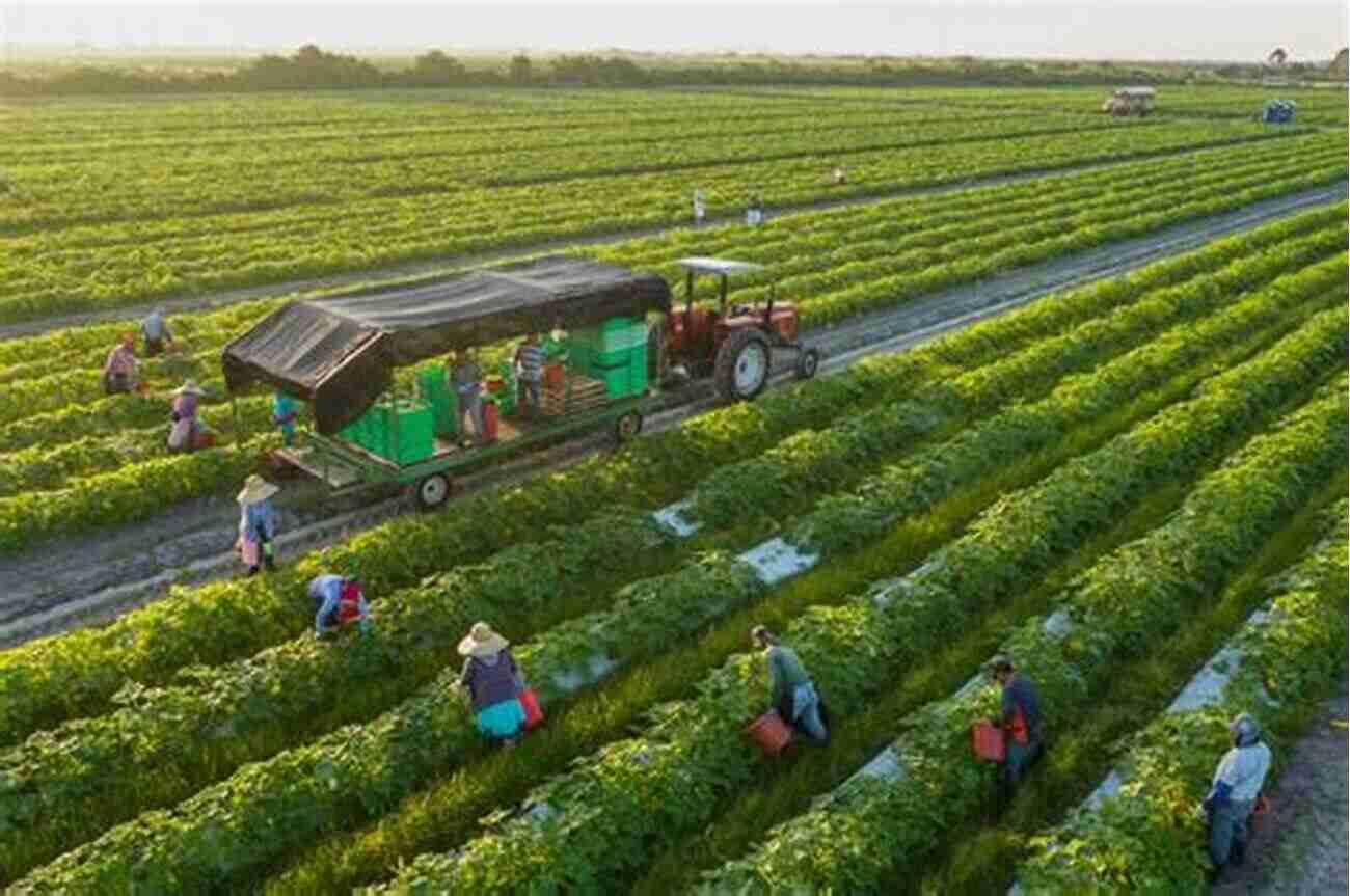 Sustainability In American Agriculture Crisis And Opportunity: Sustainability In American Agriculture (Our Sustainable Future)