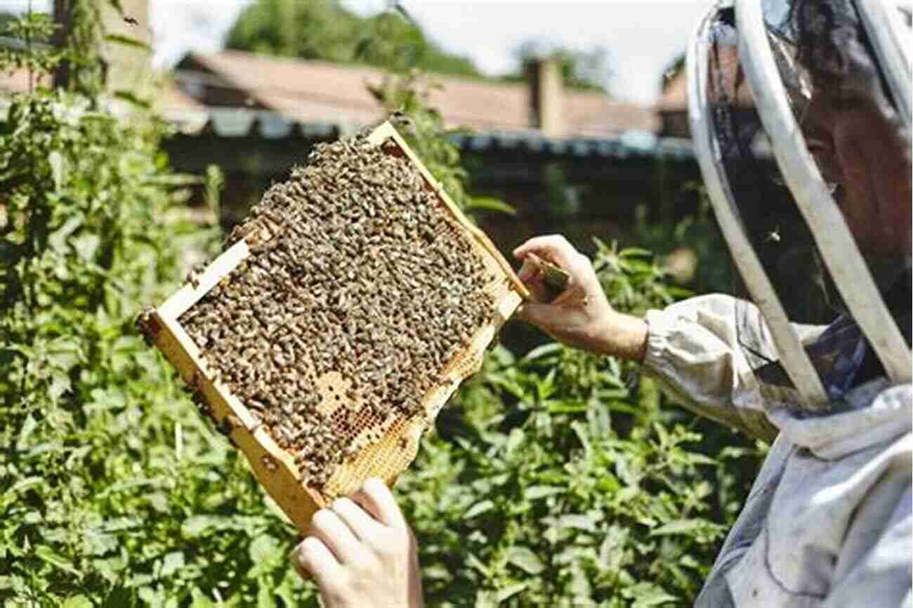 The Honeybee Man A Wonderful Exploration Into Beekeeping The Honeybee Man Lela Nargi