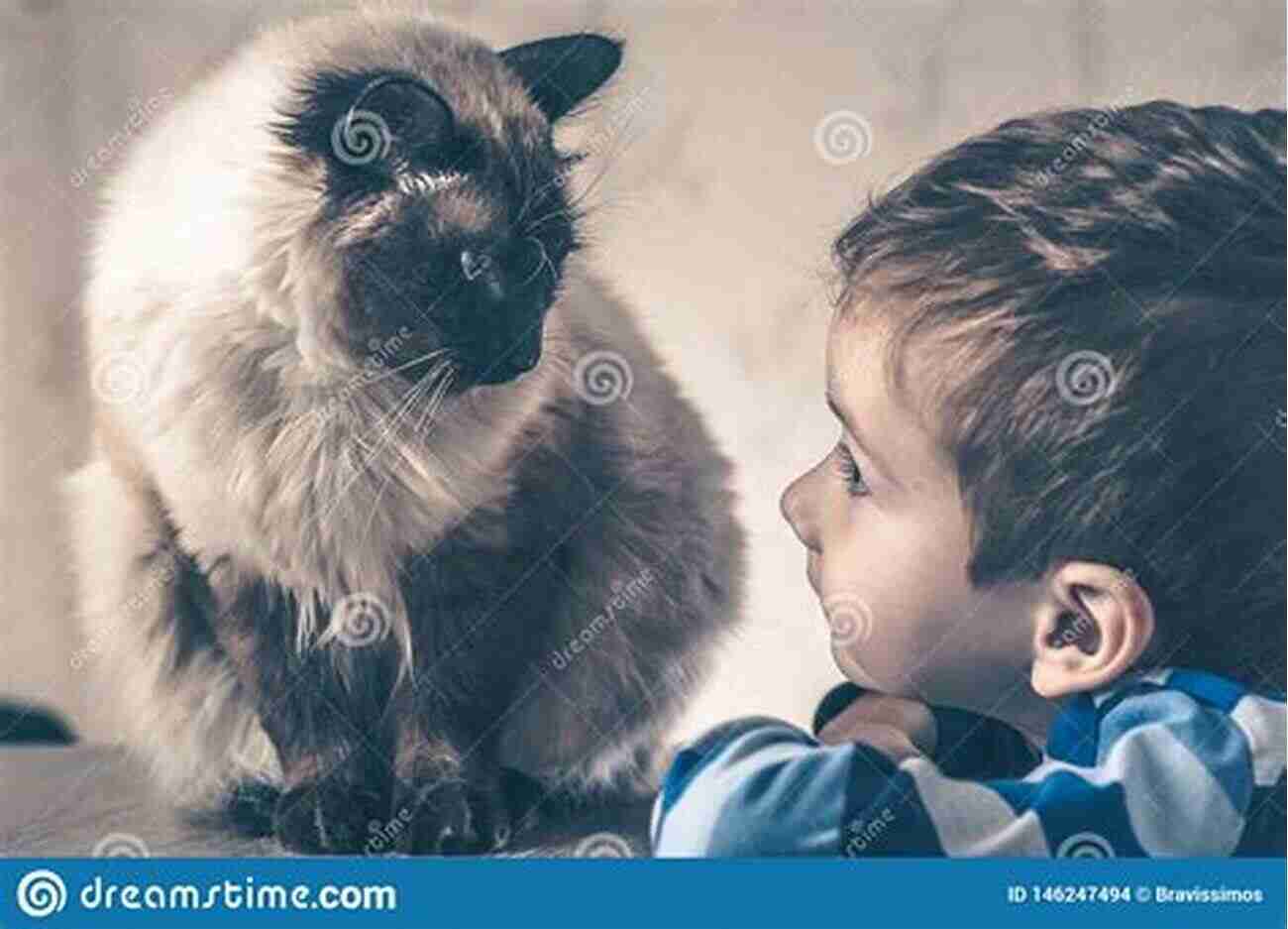 The Joy Of Adopting Cats Children Playing With Their New Furry Friends Aidy Tats Cats: The Joy Of Adopting Cats An Extremely Entertaining Rhyming For Children Aged 3 5