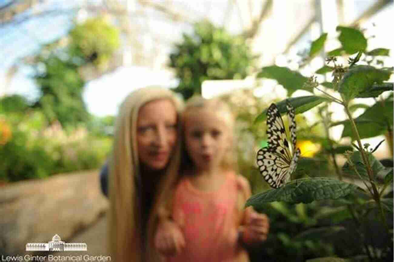 The Joy Of Butterfly Watching The Little Guide To Butterflies (Little Guides)