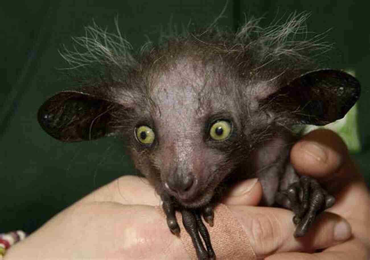 The Ugliest Animal In The World A Shocking Revelation The Ugliest Animal In The World