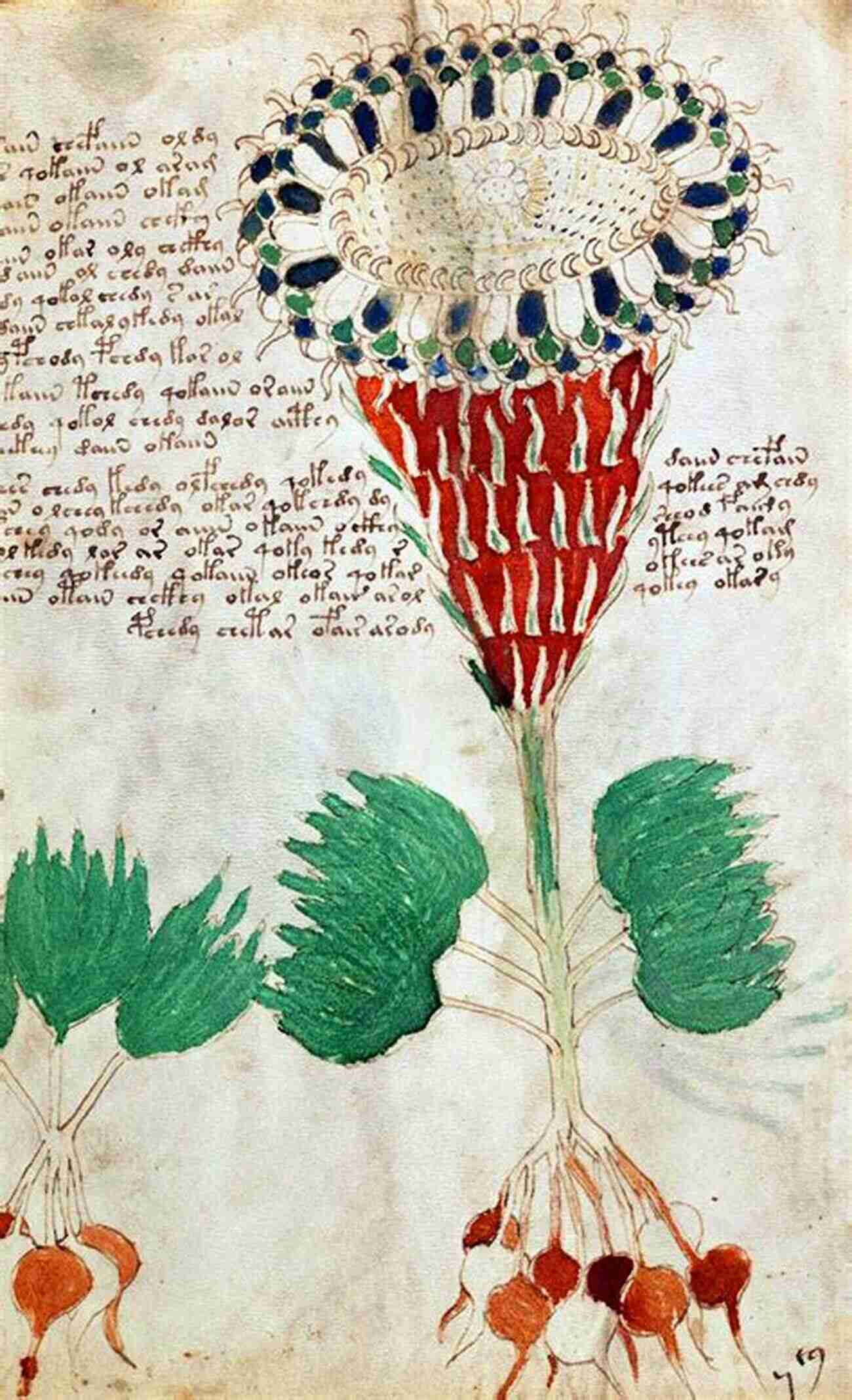 The Voynich Manuscript Unexplained 2: 16 Baffling Unsolved Mysteries