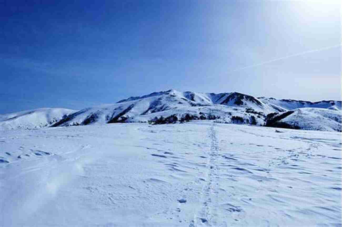 The Serene Mount Yakushi 10 Classic Alpine Climbs Of Japan (Volume 1)