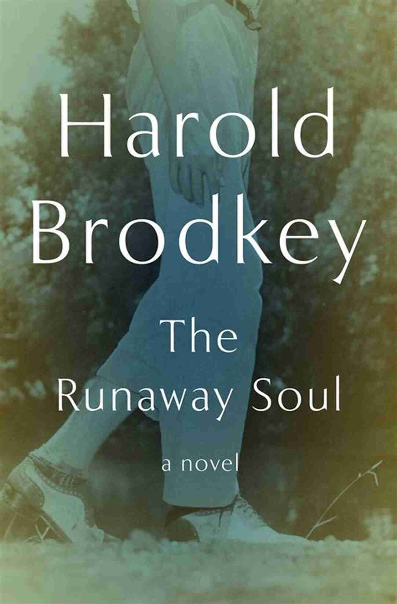 Themes In The Runaway Soul Novel The Runaway Soul: A Novel