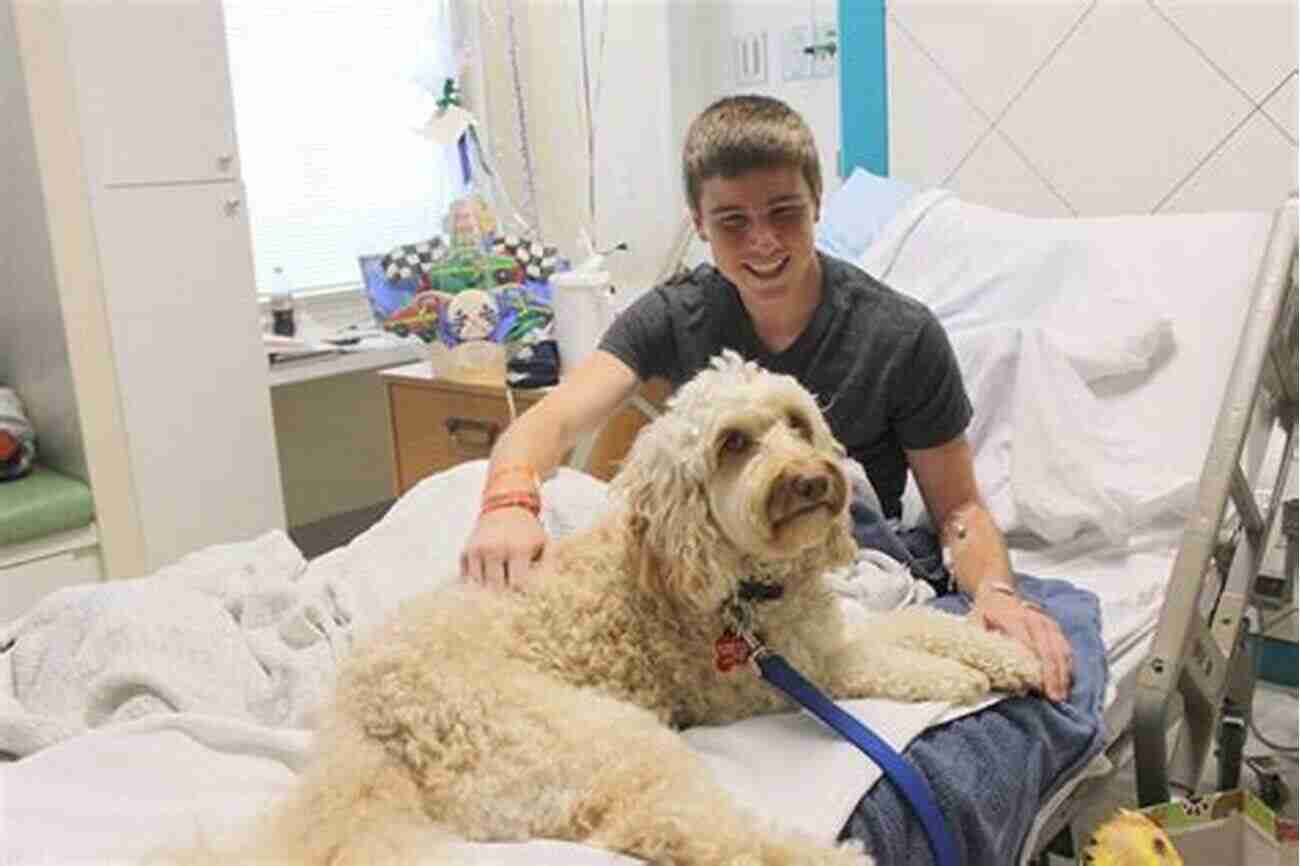 Therapy Dog Bringing Comfort To A Patient Loyal: 38 Inspiring Tales Of Bravery Heroism And The Devotion Of Dogs