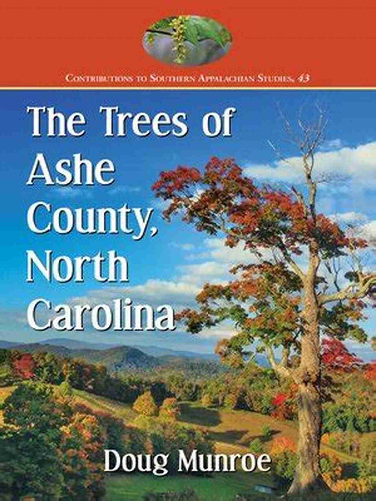 Thick Forest Of Trees In Ashe County, North Carolina A Haven Of Biodiversity The Trees Of Ashe County North Carolina (Contributions To Southern Appalachian Studies 43)