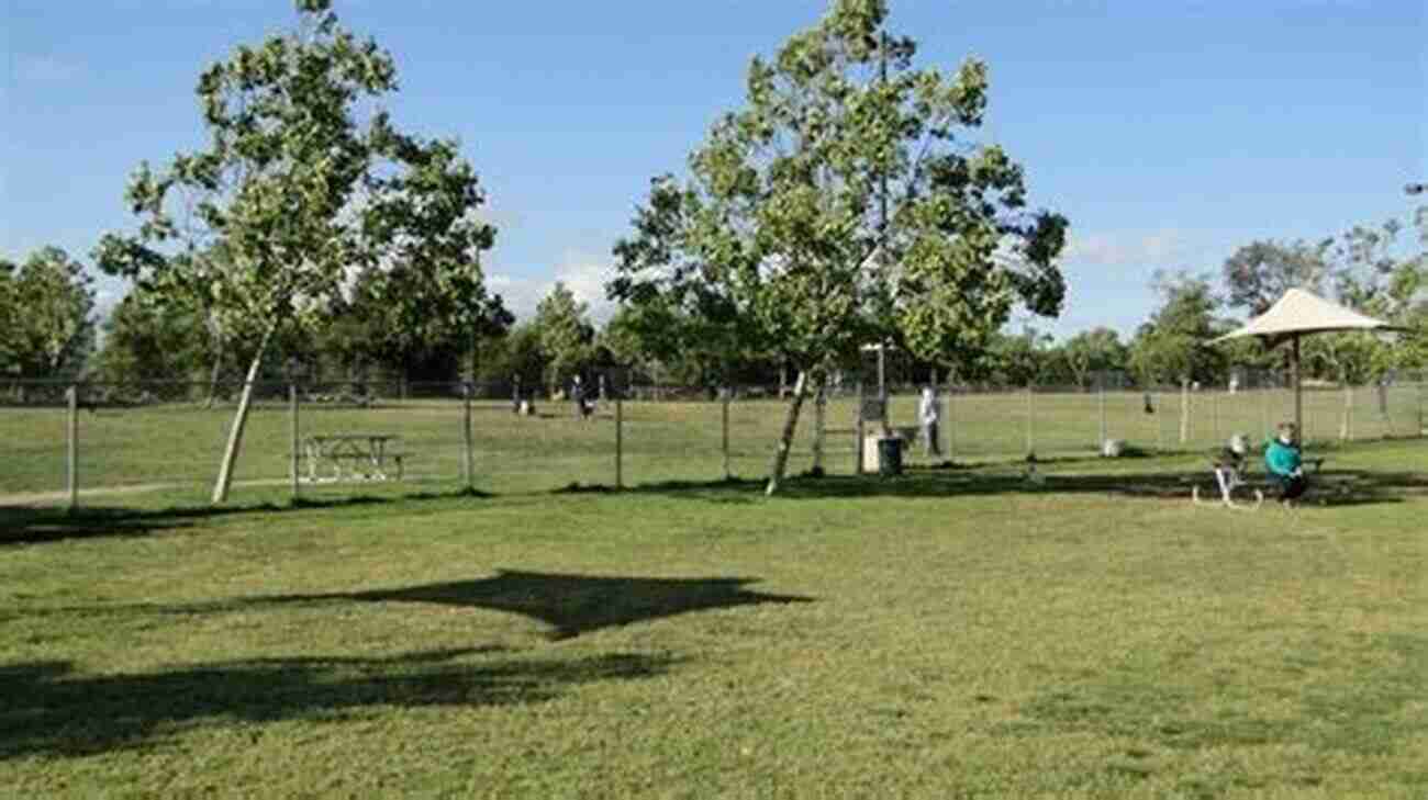 Thousand Oaks Dog Park Fenced Space With Trees And Dogs Roaming Freely Portland Oregon The 10 Best Fenced Dog Parks