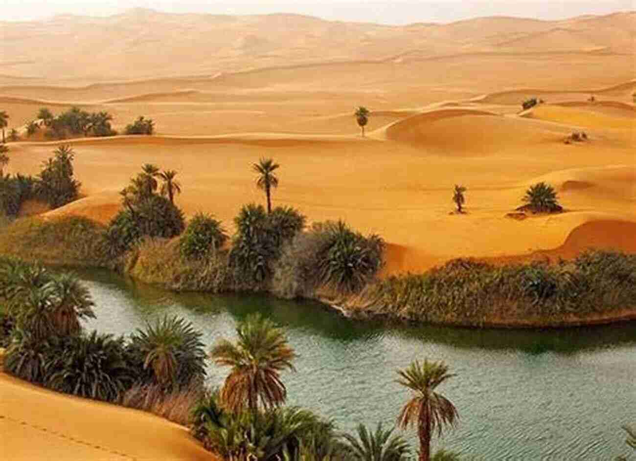 Tranquil Oases Of The Sahara Desert Morocco In Pictures: Beautiful Travel Pictures Of Morocco That Will Make You Want To Visit: Morocco Surf Photography