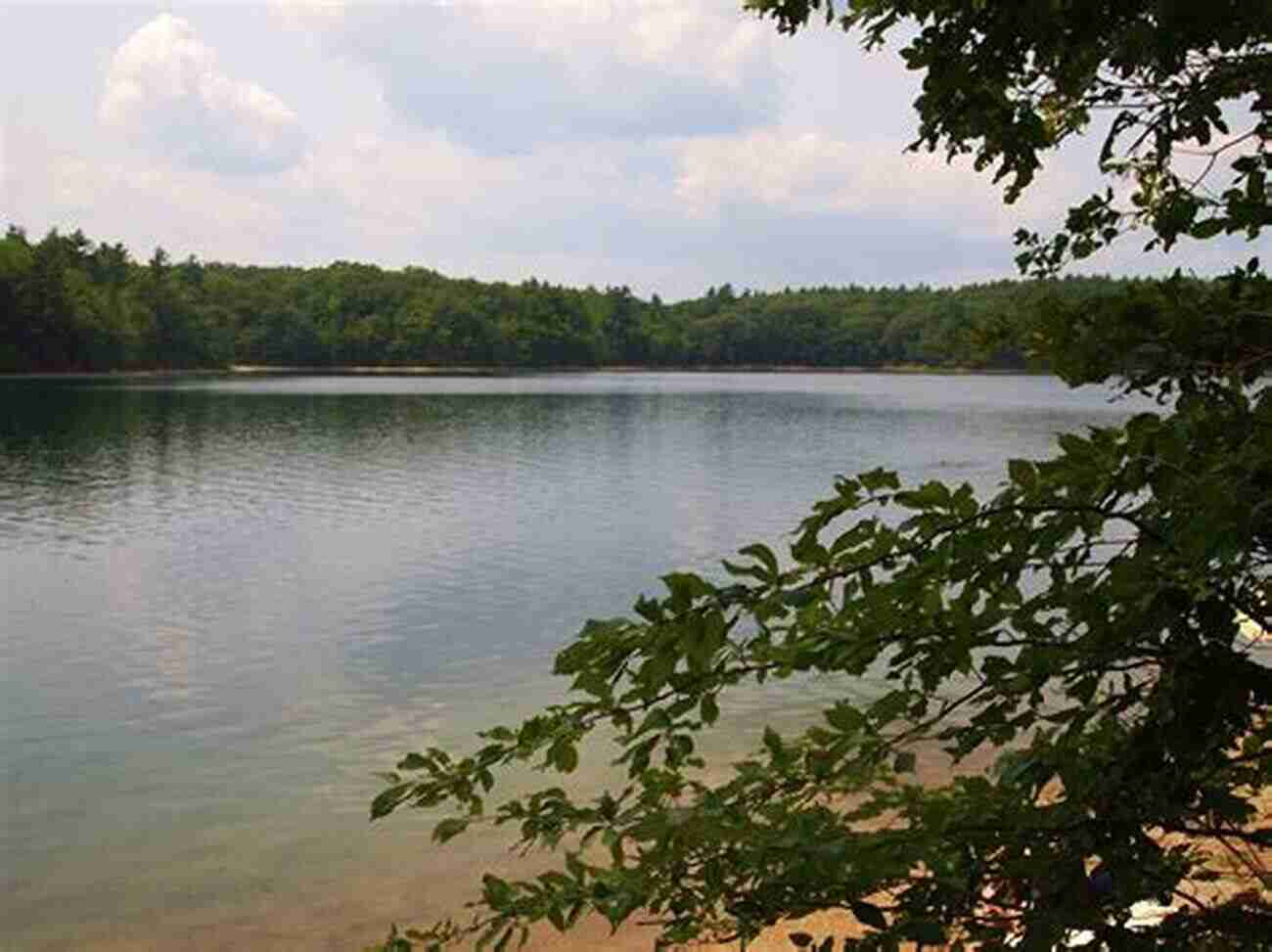 Tranquil Serenity Of Walden Pond Henry David Thoreau: A Week On The Concord And Merrimack Rivers Walden The Maine Woods Cape Cod