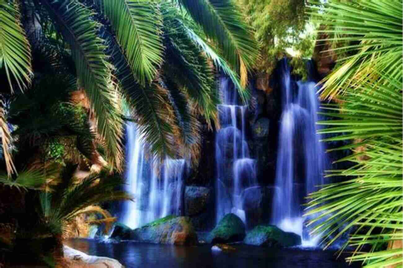 Tropical Waterfall The Travelers Guide To A Tropical Vacation