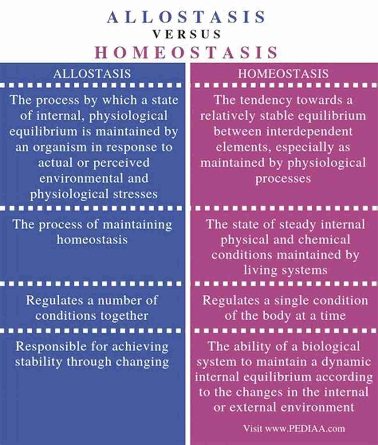 Understanding The Relationship Between Allostasis And Homeostasis Allostasis Homeostasis And The Costs Of Physiological Adaptation