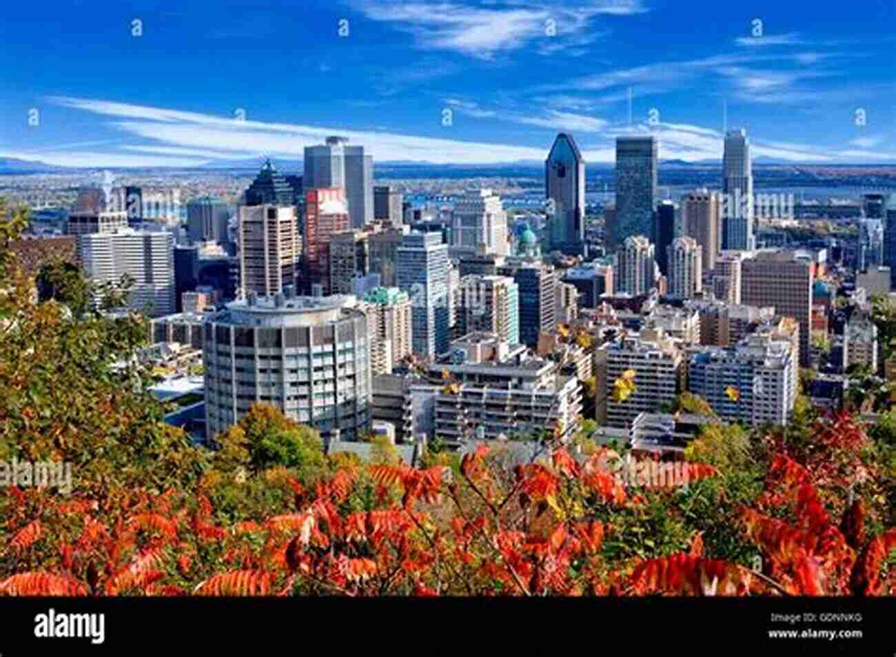 View Of Montreal Skyline From Mount Royal Things To Do In Montreal