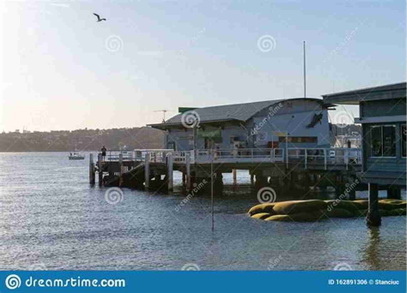 Watsons Bay A Picturesque Fishing Village Offering Stunning Coastal Views And Delectable Seafood Sydney Travel Guide: With 100 Landscape Photos