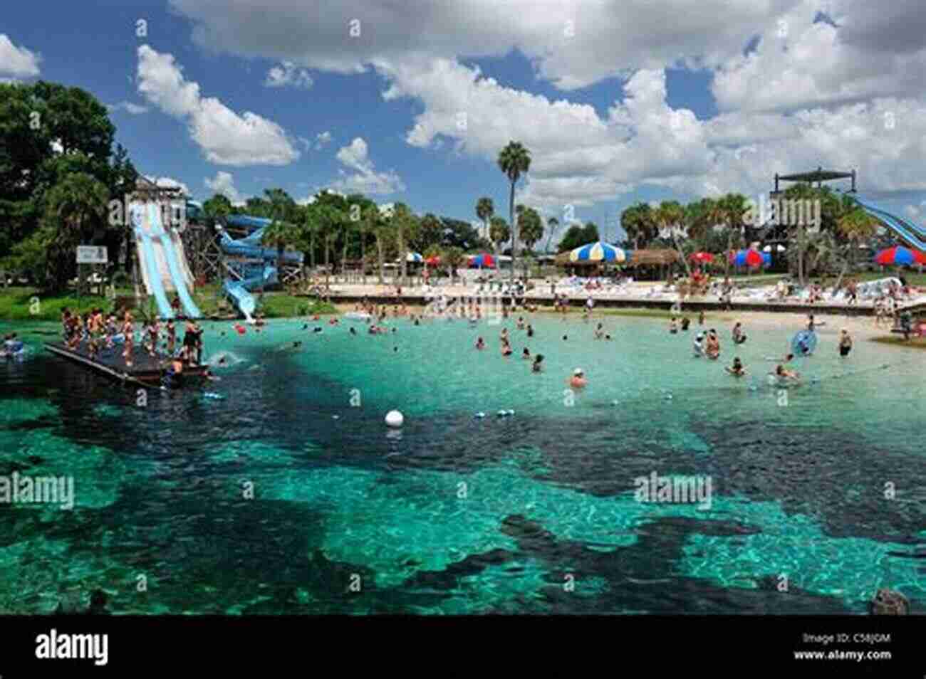 Weeki Wachee Springs Images Of America Weeki Wachee Springs (Images Of America)