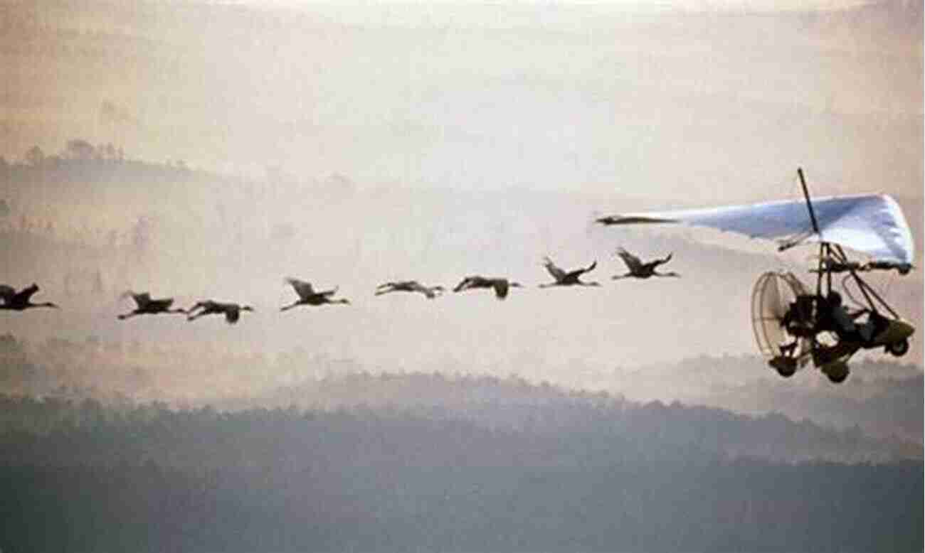 Whooping Crane Invasion Birds In Bizarre Takeover Attempt Stupid Wars: A Citizen S Guide To Botched Putsches Failed Coups Inane Invasions And Ridiculous Revolutions