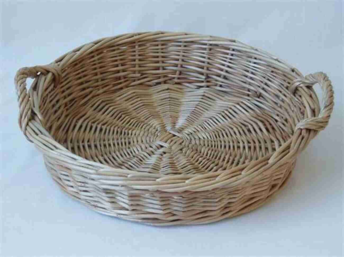 Willow Basket Made By Tani Robar Willow Basketry And Sculpture Tani Robar