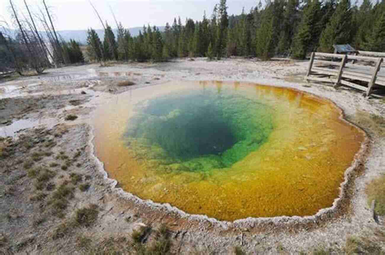 Yellowstone National Park A Paradise Unveiled West Yellowstone (Images Of America)