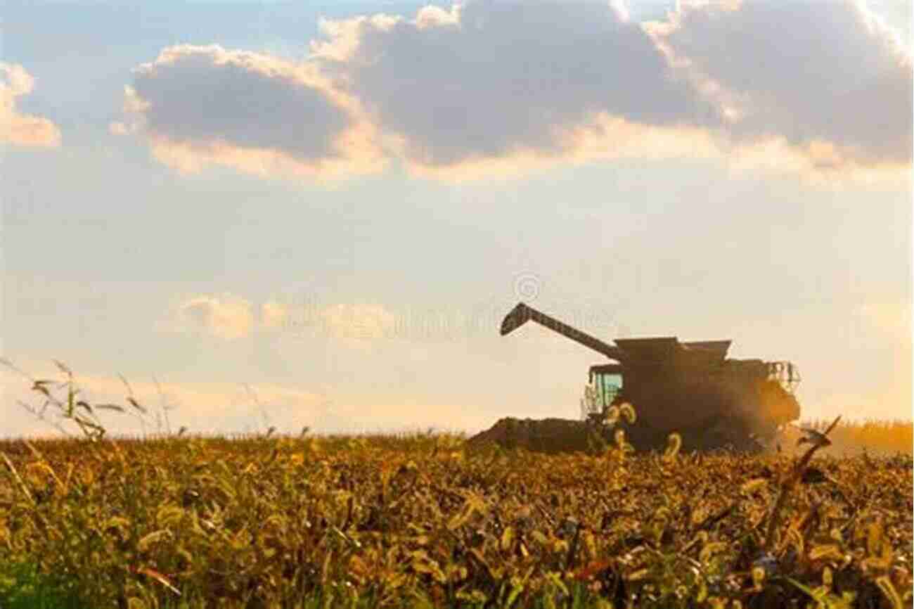 Corn Picking Machine In Action The Machinery Of Corn Picking And Shelling With Information On The Equipment And Methods Of Corn Picking And Shelling