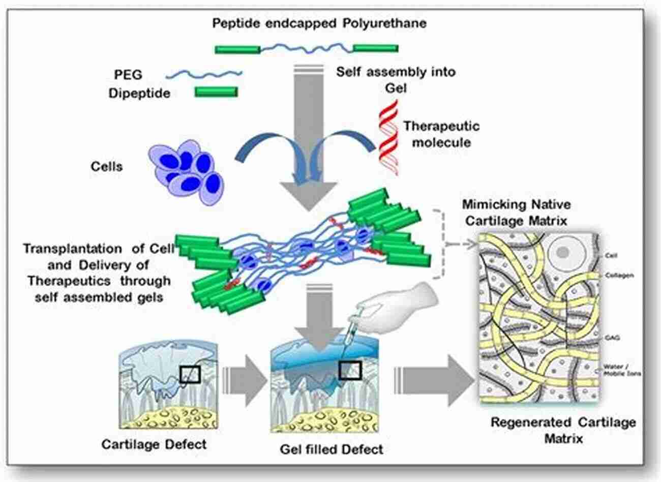 Novel Biomaterials For Tissue Regeneration Biomaterials For Clinical Applications Sujata K Bhatia