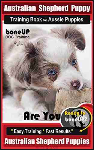 Australian Shepherd Puppy Training For Aussie Puppies By BoneUP DOG Training: Are You Ready To Bone Up? Easy Training * Fast Results Australian Shepherd Puppies