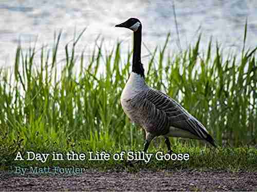 A Day In The Life Of Silly Goose