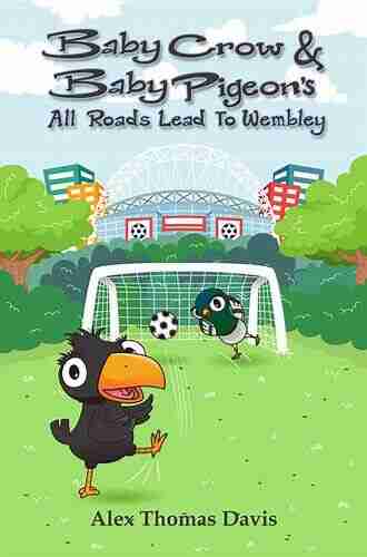 Baby Crow Baby Pigeon S All Roads Lead To Wembley