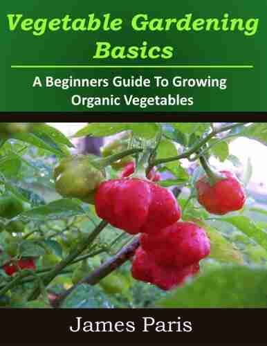 Vegetable Gardening Basics: A Beginners Guide To Growing Organic Vegetables Including Top Ten Easy Veg To Grow